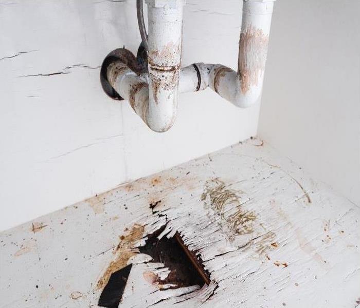 cabinet under sink rotted due to water damage