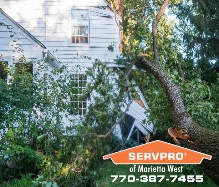 tree falls on house causing storm damage